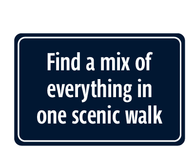 Dark blue and white signage behind text
